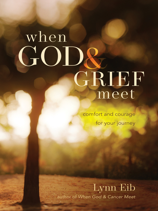 Title details for When God & Grief Meet by Lynn Eib - Available